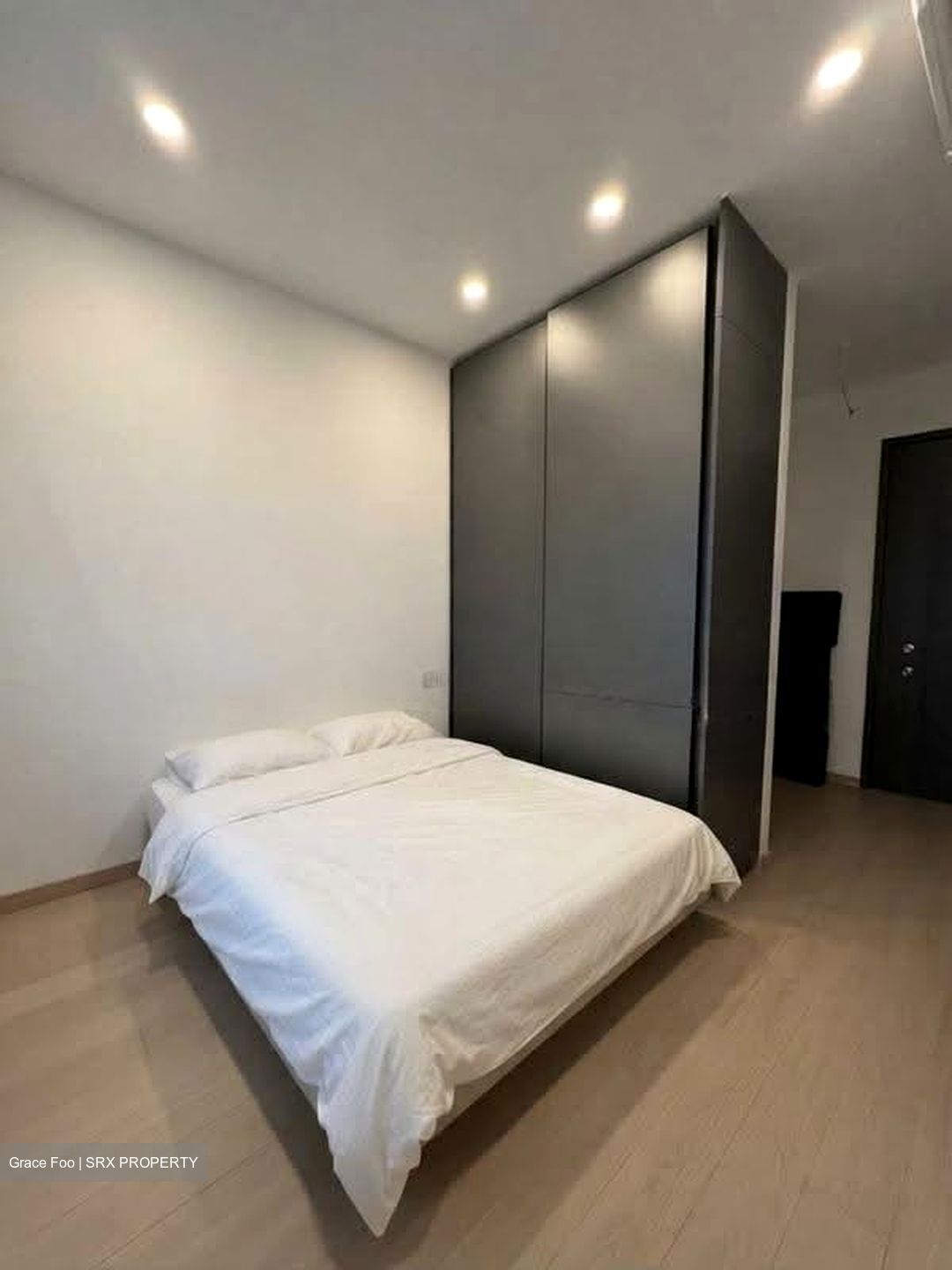 Irwell Hill Residences (D9), Apartment #629099711